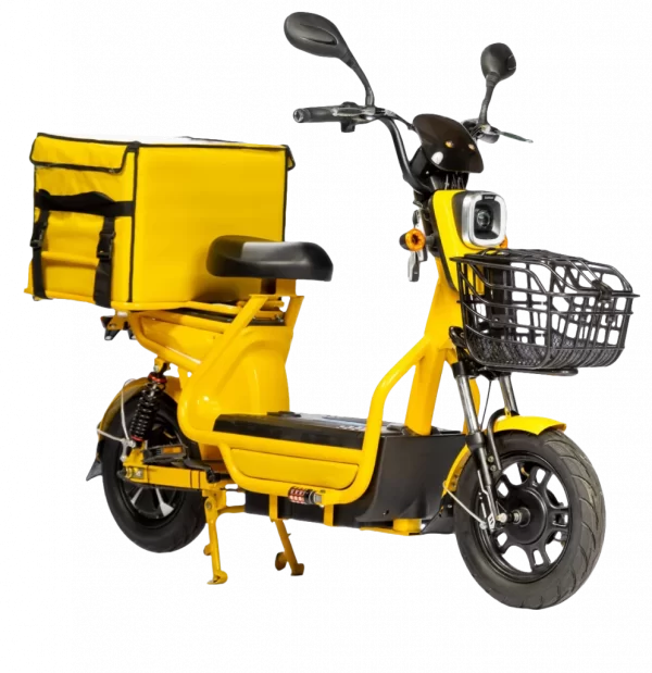 Scooter Électrique XHR 500